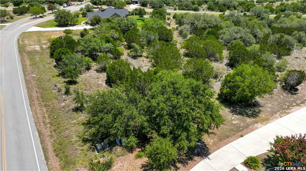 523 Mystic Parkway Spring Branch, TX 78070 - Photo 12 of 15 a view of a garden with a fountain