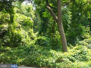 1429 State Road Phoenixville, PA 19460 - Photo 3 of 3 Gallery Image 3