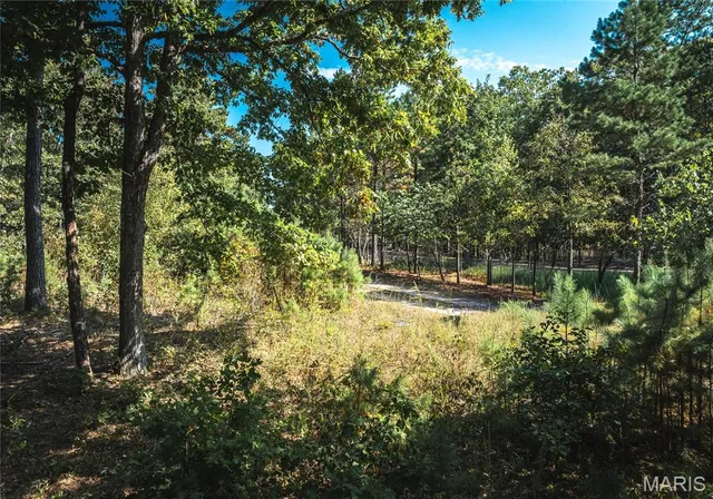 $30,000 | 0 Whispering Pines Lane, Licking, MO 65542