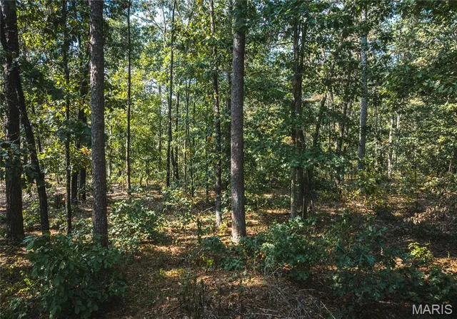 $30,000 | 0 Whispering Pines Lane, Licking, MO 65542