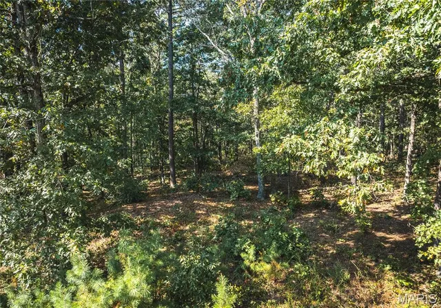 $30,000 | 0 Whispering Pines Lane, Licking, MO 65542