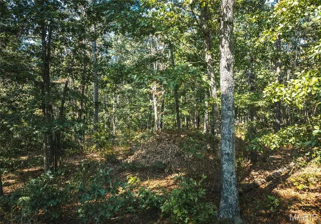 $30,000 | 0 Whispering Pines Lane, Licking, MO 65542