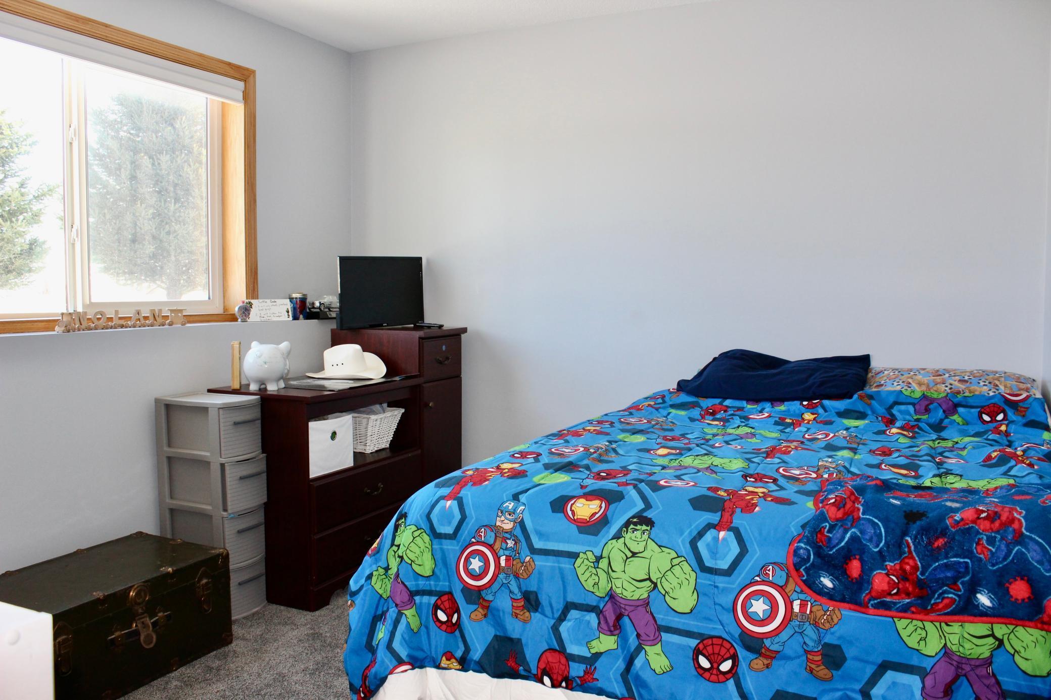 16953 739th Street Hayfield, MN 55940 - Photo 22 of 30