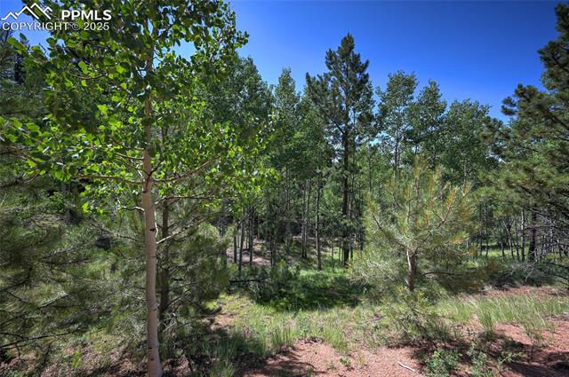 412 Princess Road Cripple Creek, CO 80813 - Photo 3 of 45 Gallery Image 3