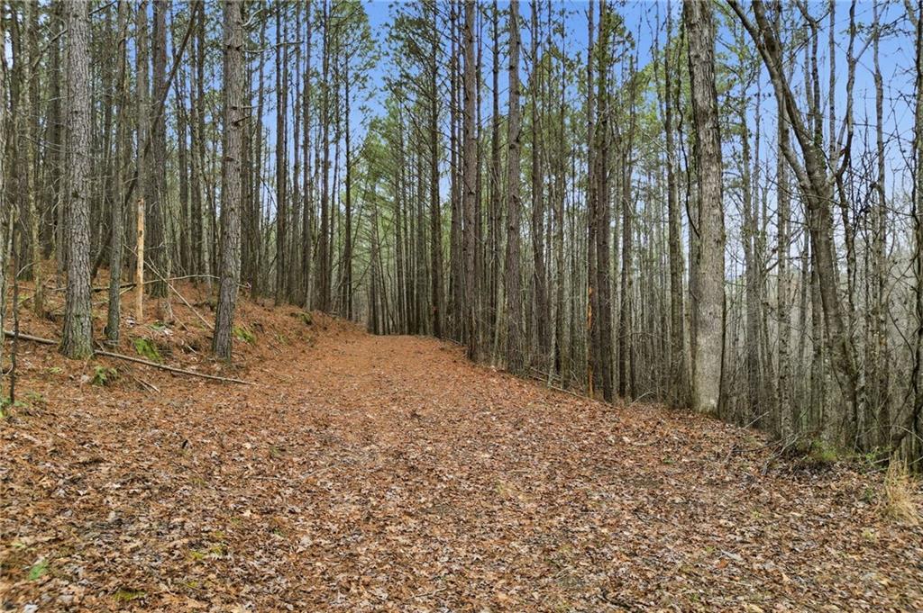 2025 Soap Creek Road Ball Ground, GA 30107 - Photo 11 of 21 a backyard of a house with a mountain view