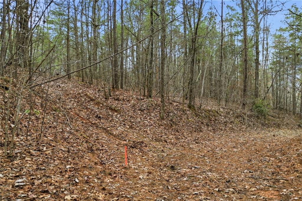 2025 Soap Creek Road Ball Ground, GA 30107 - Photo 12 of 21 a view of backyard with green space