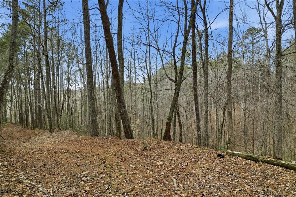 2025 Soap Creek Road Ball Ground, GA 30107 - Photo 13 of 21 a backyard of a house with lots of green space