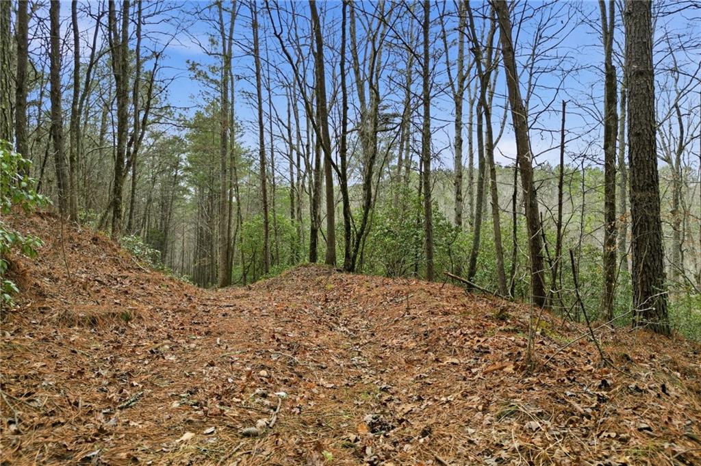 2025 Soap Creek Road Ball Ground, GA 30107 - Photo 14 of 21 a view of a backyard of the house
