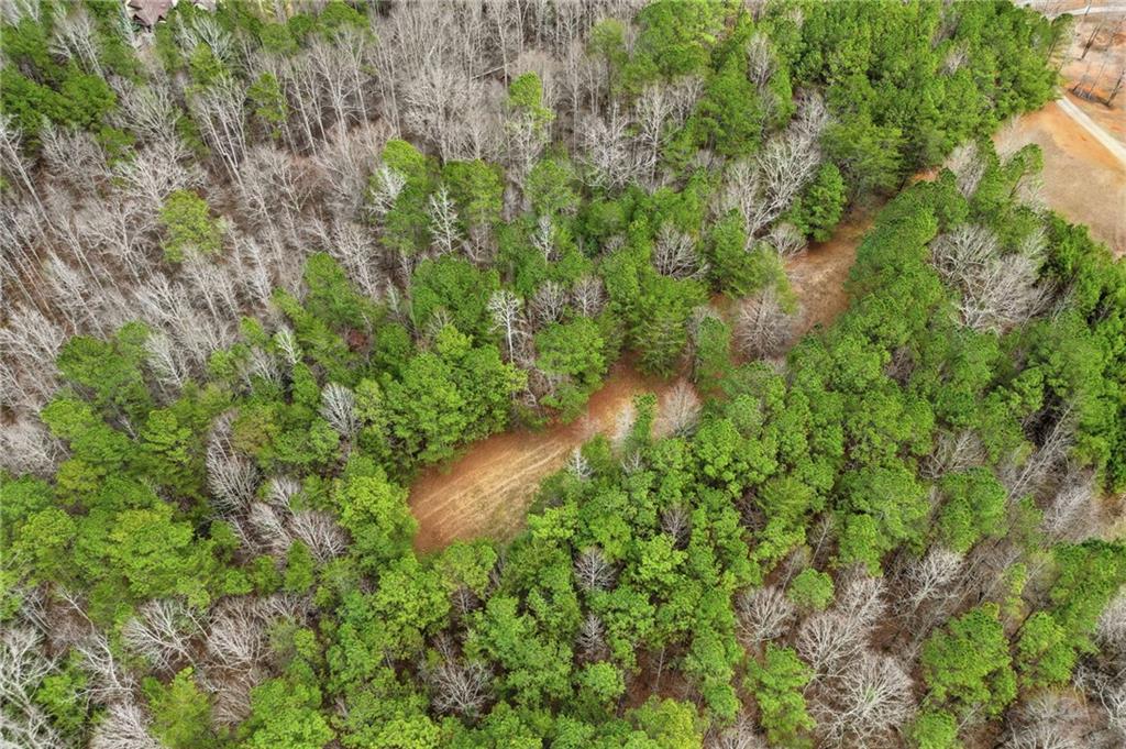 2025 Soap Creek Road Ball Ground, GA 30107 - Photo 16 of 21 a view of a garden with a tree