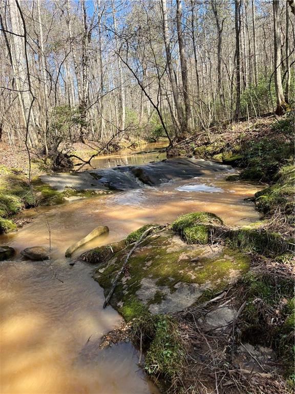 2025 Soap Creek Road Ball Ground, GA 30107 - Photo 17 of 21