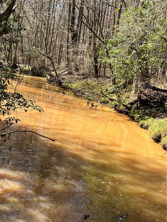 2025 Soap Creek Road Ball Ground, GA 30107 - Photo 18 of 21 a view of an ocean beach