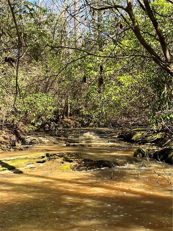 2025 Soap Creek Road Ball Ground, GA 30107 - Photo 19 of 21 a view of ocean view