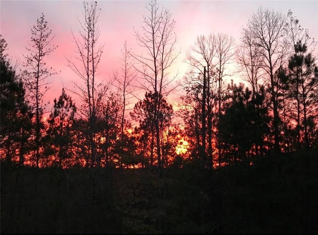 2025 Soap Creek Road Ball Ground, GA 30107 - Photo 21 of 21 a view of outdoor space and a yard