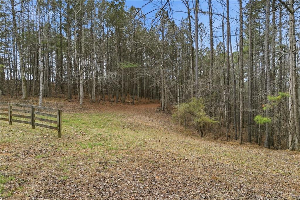 2025 Soap Creek Road Ball Ground, GA 30107 - Photo 3 of 21 a backyard of a house with lots of green space