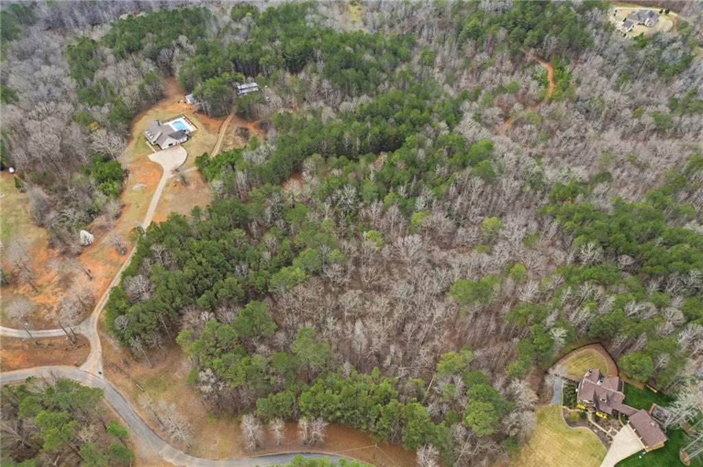 2025 Soap Creek Road Ball Ground, GA 30107 - Photo 5 of 21