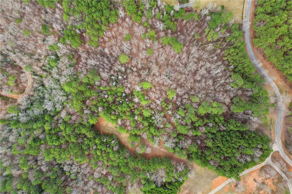 2025 Soap Creek Road Ball Ground, GA 30107 - Photo 6 of 21 a plant view