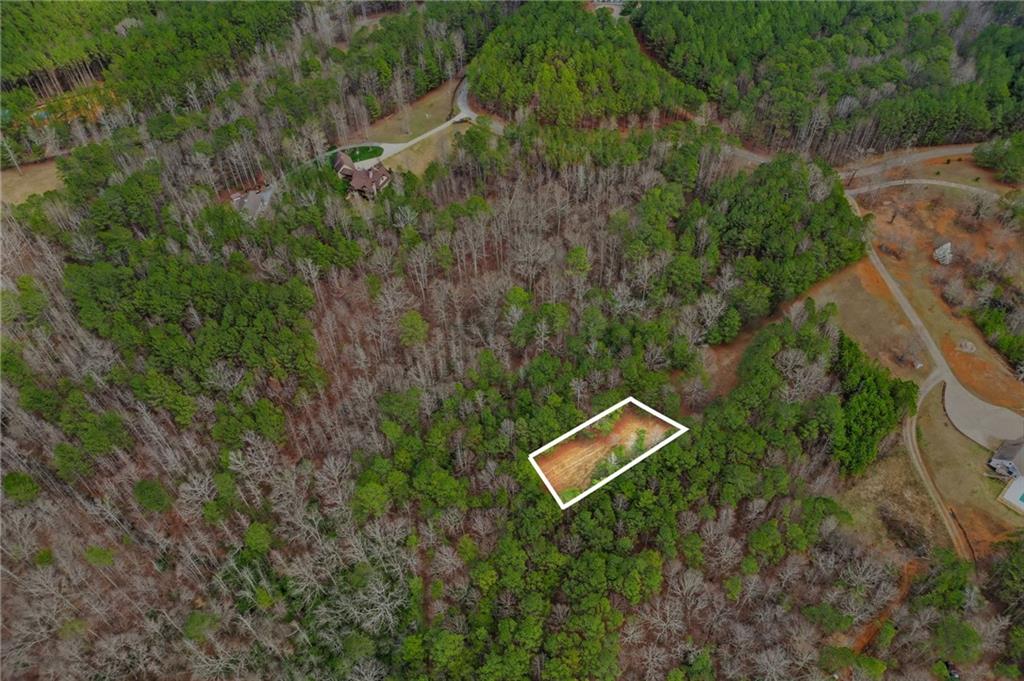 2025 Soap Creek Road Ball Ground, GA 30107 - Photo 7 of 21 a view of a yard with a wall