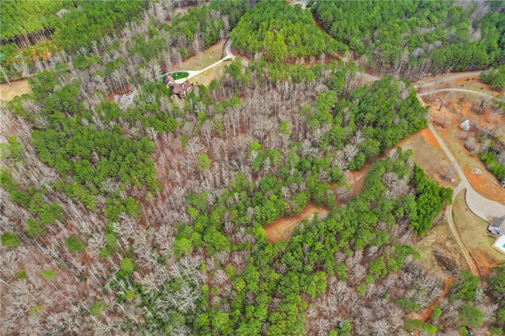 2025 Soap Creek Road Ball Ground, GA 30107 - Photo 8 of 21 a backyard of a house with lots of green space and garden