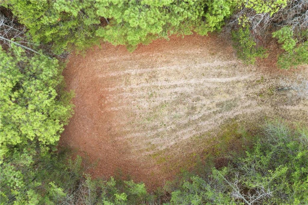2025 Soap Creek Road Ball Ground, GA 30107 - Photo 9 of 21 a view of a yard with plants and a brick wall
