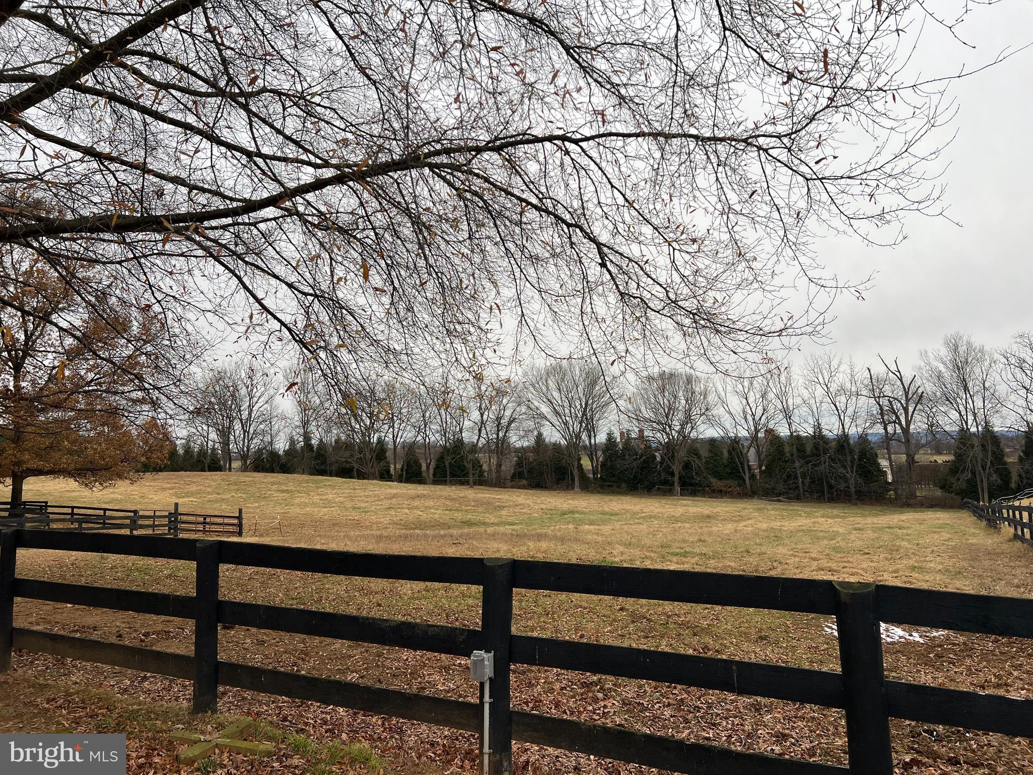 7112 Rock Hill Mill Road The Plains, VA 20198 - Photo 4 of 13 a view of a bench in a yard