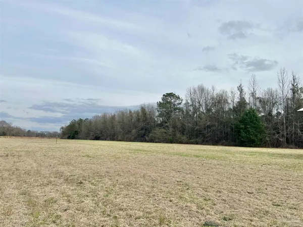 $149,000 | 1400-block Mexboro Road, Frisco City, AL 36445