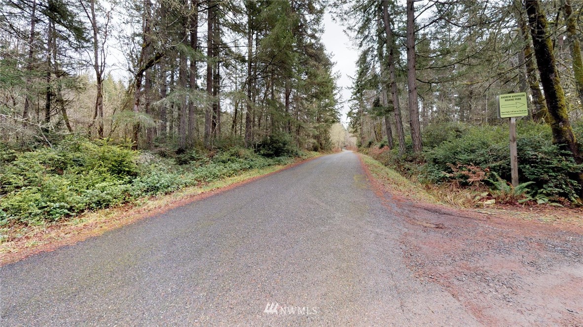 11801 Claussen Road Anderson Island, WA 98303 - Photo 3 of 15 Gallery Image 3