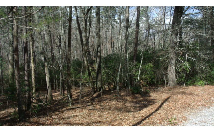 Lance Road Morganton, GA 30560 - Photo 1 of 1 Main View