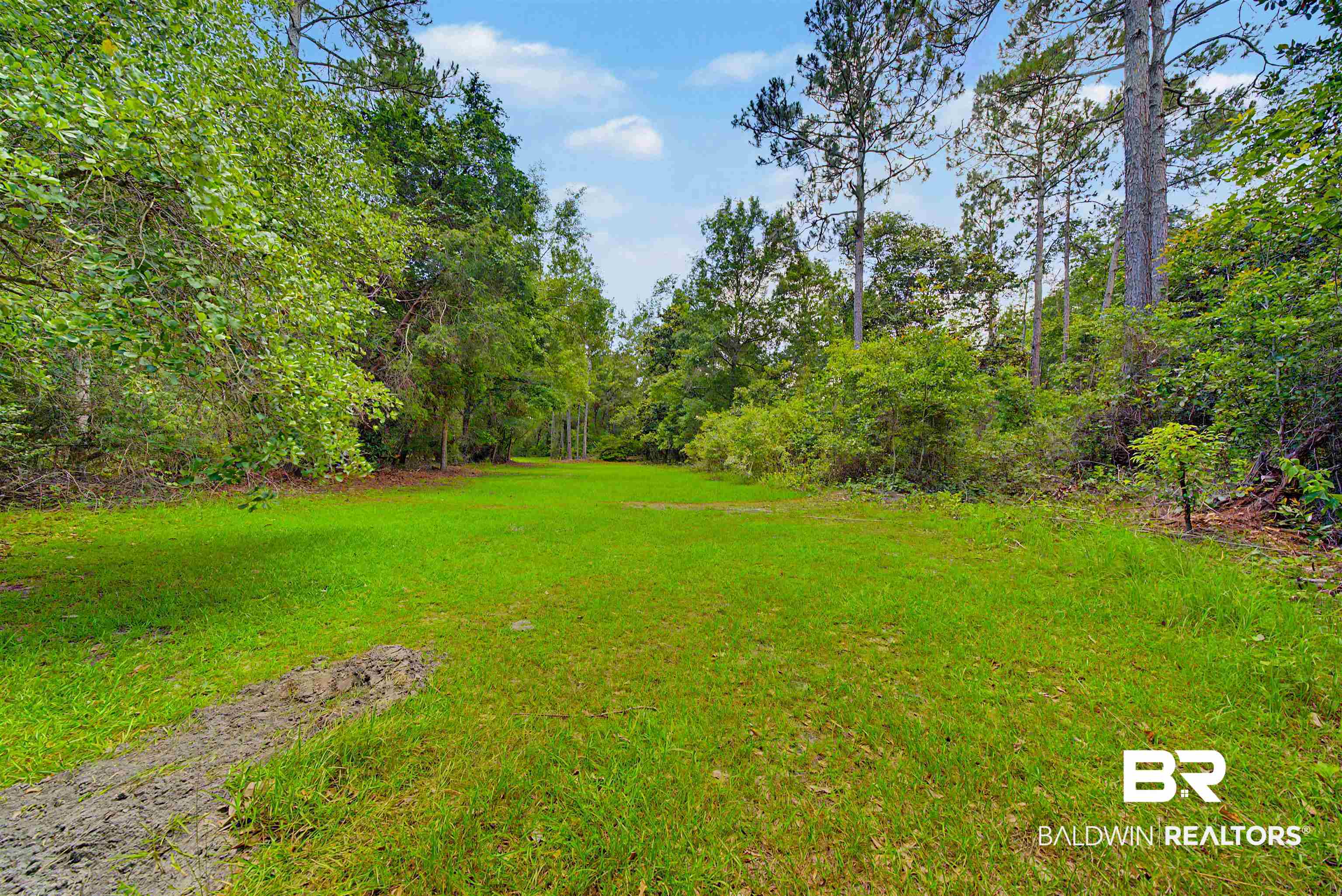 22963 Highway 98 Foley, AL 36535 - Photo 40 of 52 Expansive green space bordered by mature trees