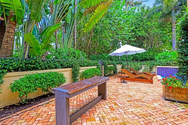 a view of a backyard with plants and a garden