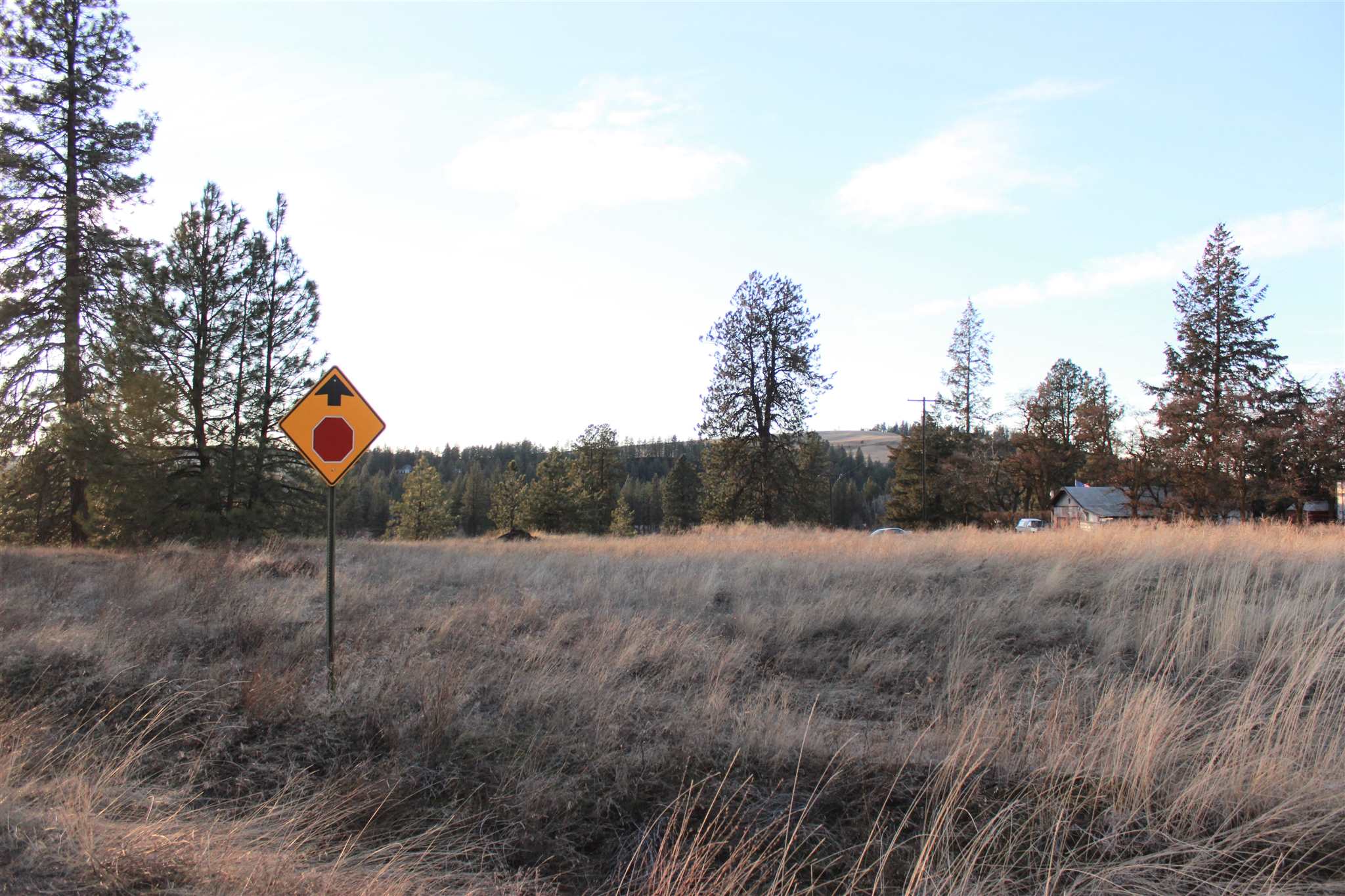 12201 West Hunt Road Cheney, WA 99004 - Photo 7 of 7
