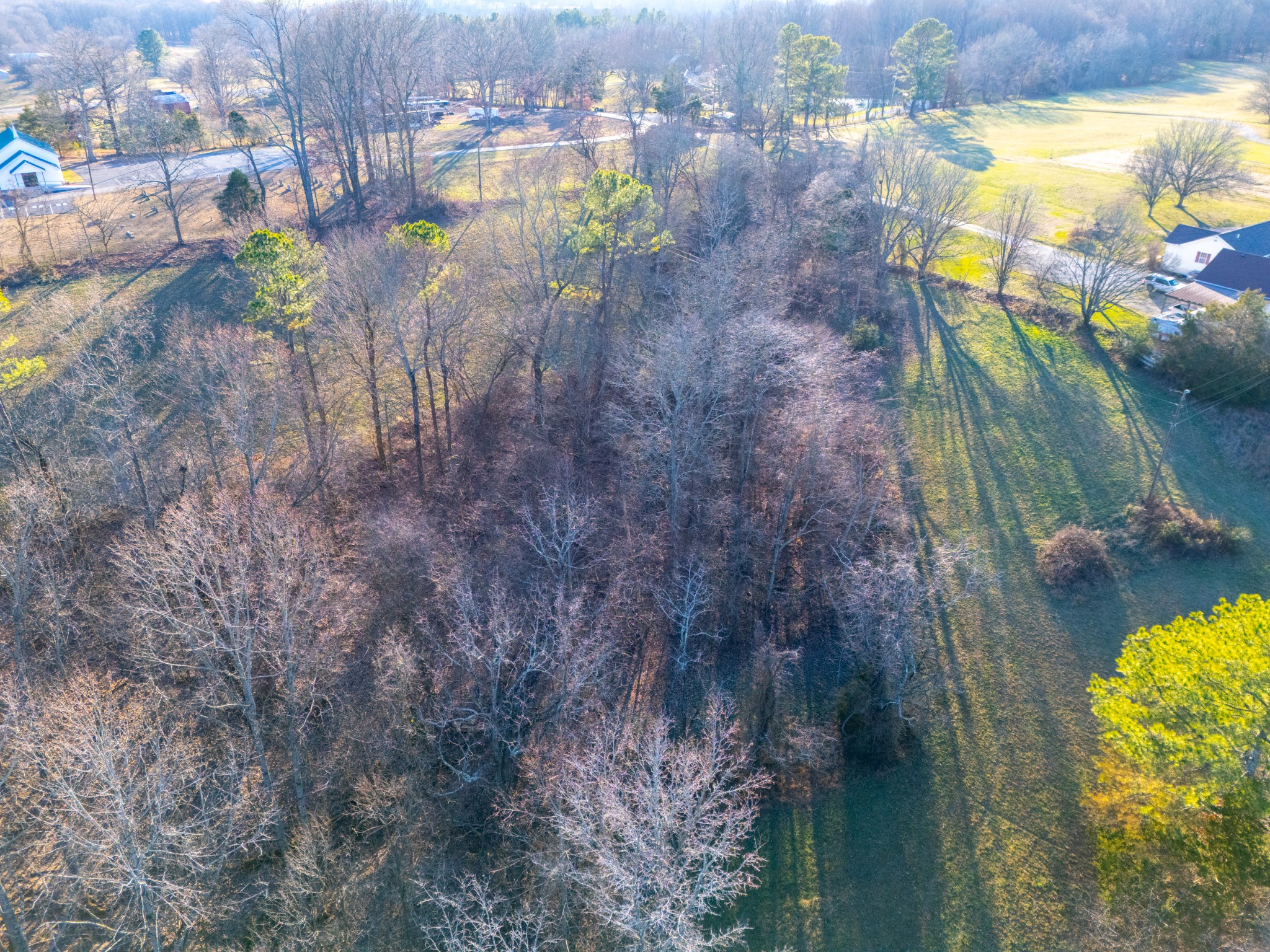 0 Mount Moriah Church Road Portland, TN 37148 - Photo 15 of 27 a view of a yard
