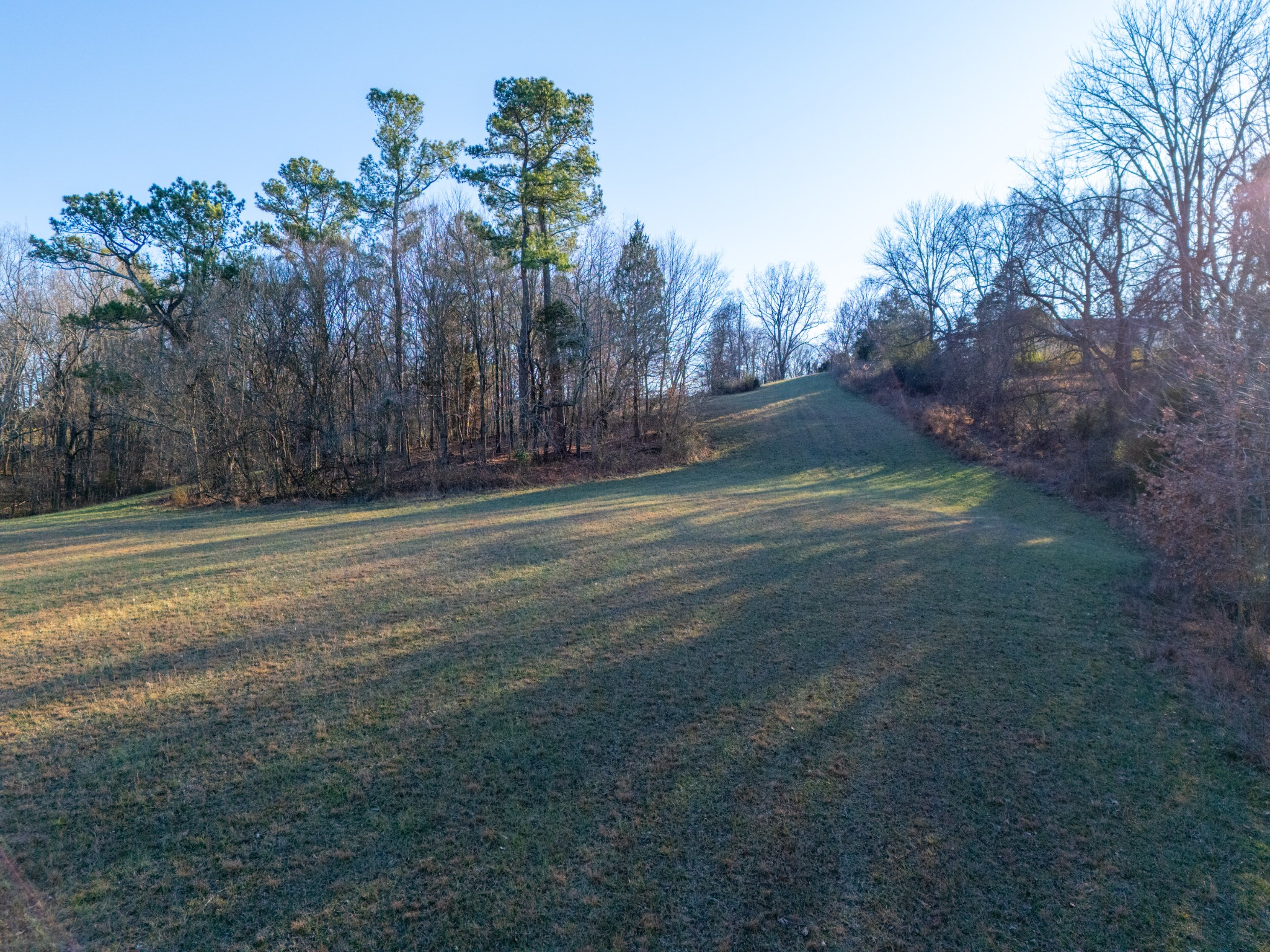 0 Mount Moriah Church Road Portland, TN 37148 - Photo 9 of 27 a view of a backyard of the house