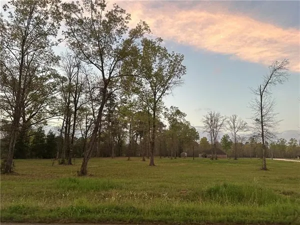 $38,900 | 0 Ridge Lane, Center Point, LA 71323