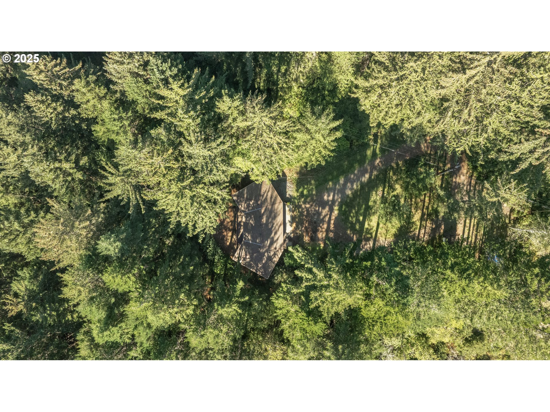 95708 Horton Lane Brookings, OR 97415 - Photo 44 of 46 a black and white photo of a green field