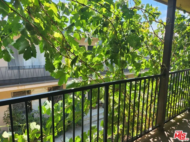 a view of balcony with a plant