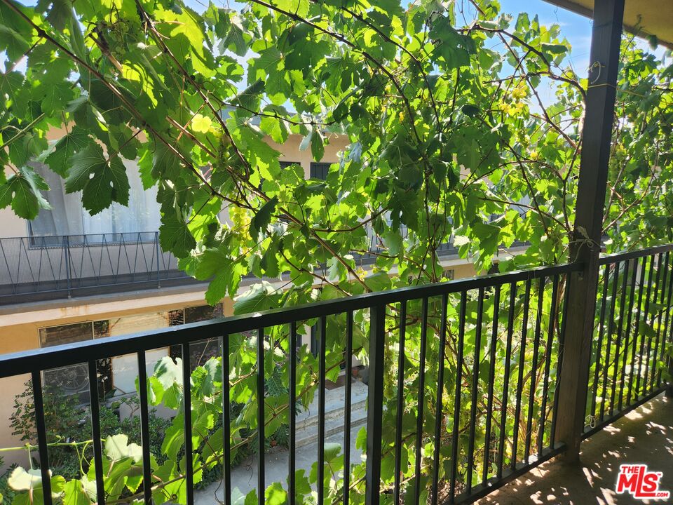 939 North Stanley Avenue, Unit 6 West Hollywood, CA 90046 - Photo 10 of 11 a view of balcony with a plant