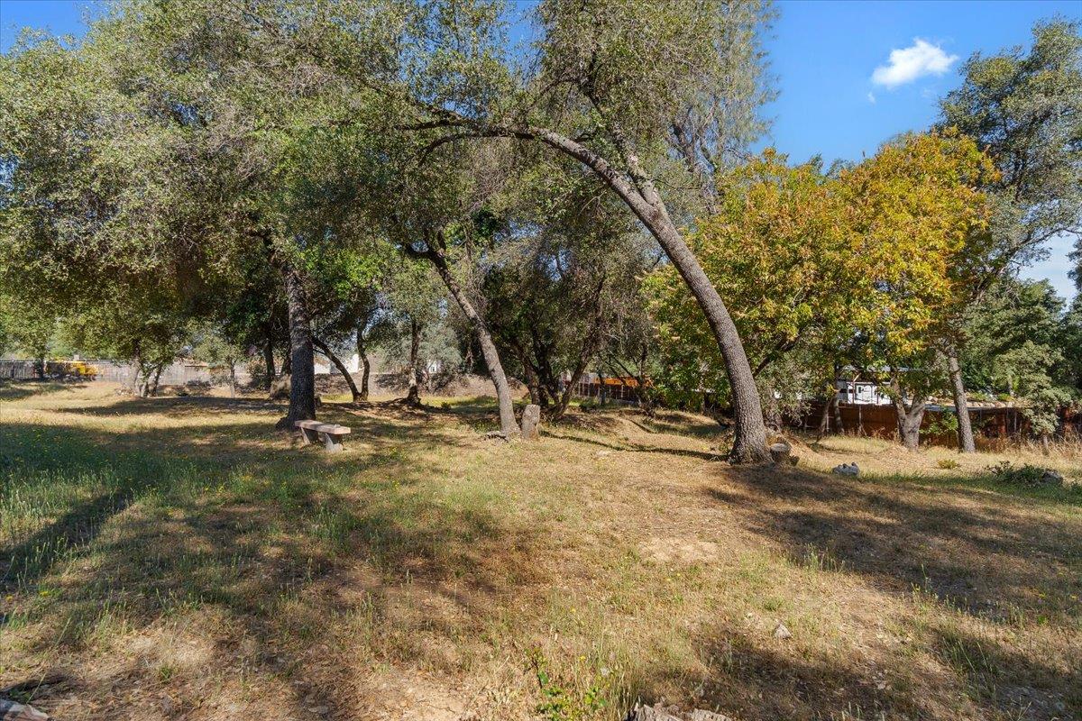 3695 Missouri Flat Road Placerville, CA 95667 - Photo 31 of 36