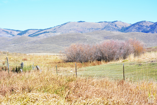 900 West Smit Road Georgetown, ID 83239 - Photo 19 of 52 Spring area
