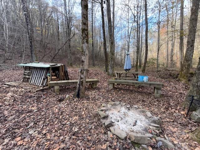 650 Mulberry Trail Ellijay, GA 30540 - Photo 19 of 38 a backyard of a house with table and chairs