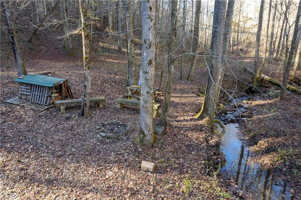 650 Mulberry Trail Ellijay, GA 30540 - Photo 21 of 38 a backyard of a house with lots of green space