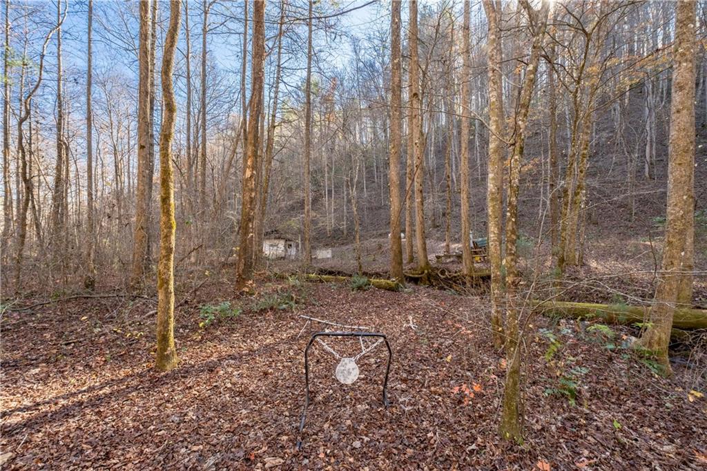 650 Mulberry Trail Ellijay, GA 30540 - Photo 22 of 38 a view of a backyard of the house