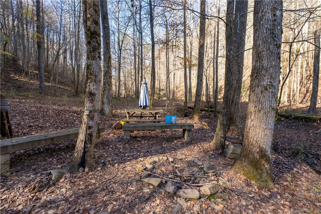 650 Mulberry Trail Ellijay, GA 30540 - Photo 23 of 38 a view of backyard with green space