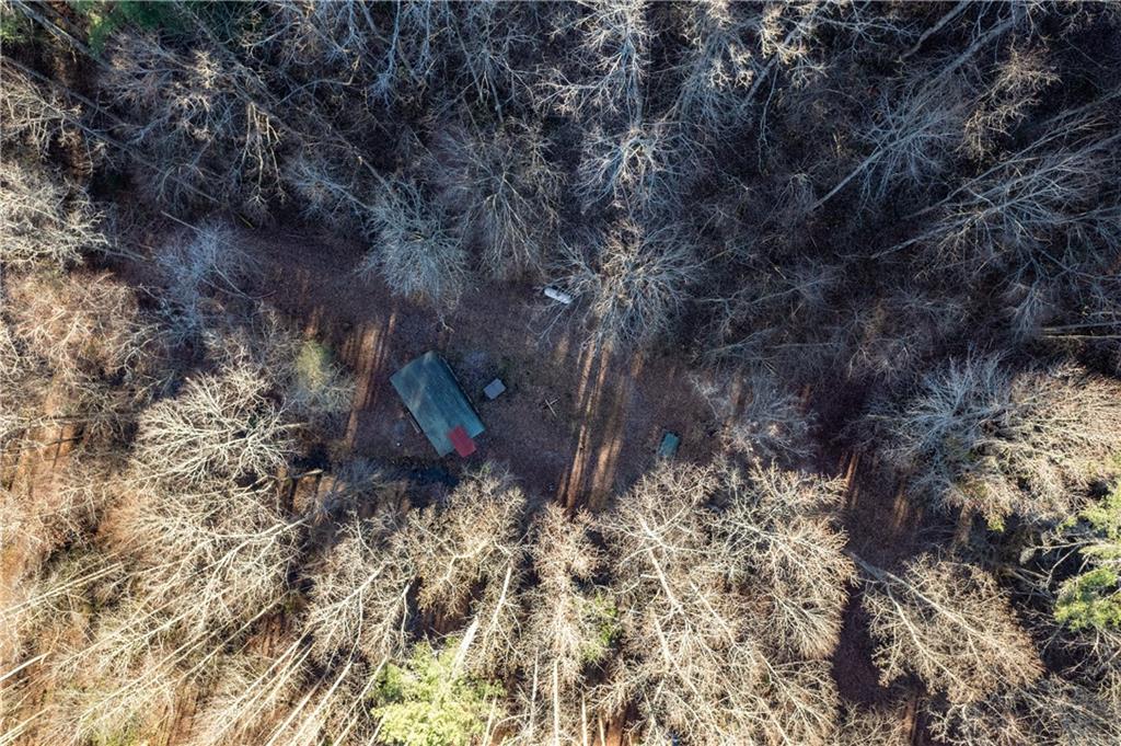 650 Mulberry Trail Ellijay, GA 30540 - Photo 26 of 38 a view of outside area
