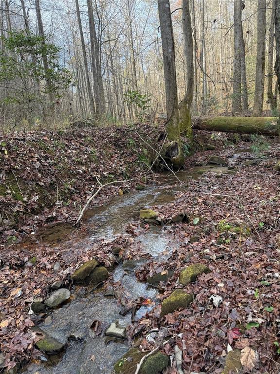 650 Mulberry Trail Ellijay, GA 30540 - Photo 29 of 38 a view of a backyard of the house