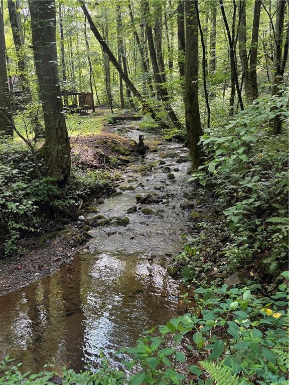 650 Mulberry Trail Ellijay, GA 30540 - Photo 3 of 38 a view of outdoor space with trees all around