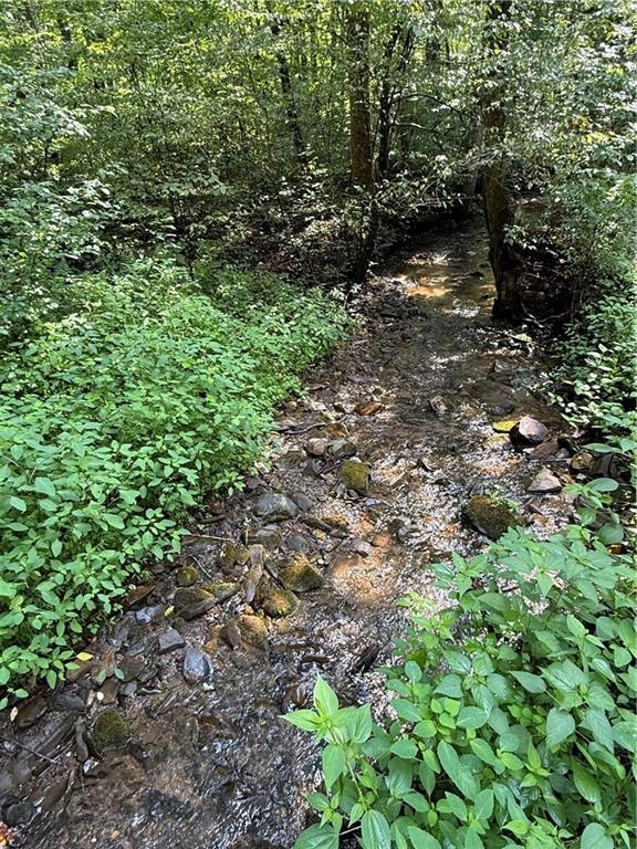 650 Mulberry Trail Ellijay, GA 30540 - Photo 31 of 38 a view of a large yard with lots of green space