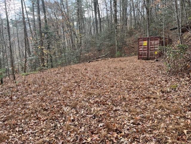 650 Mulberry Trail Ellijay, GA 30540 - Photo 34 of 38 a backyard of a house with lots of green space