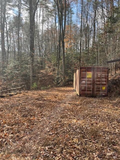 650 Mulberry Trail Ellijay, GA 30540 - Photo 35 of 38 a backyard of a house with lots of green space