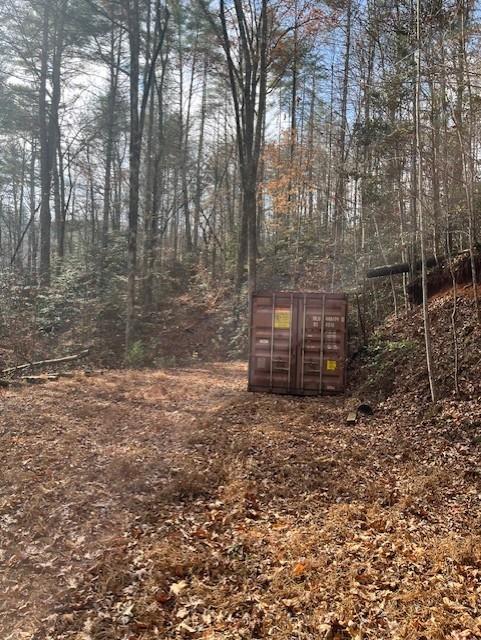 650 Mulberry Trail Ellijay, GA 30540 - Photo 36 of 38 a backyard of a house with lots of green space