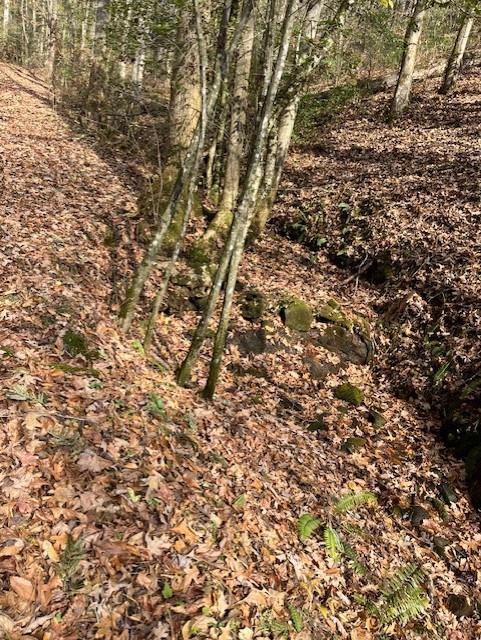 650 Mulberry Trail Ellijay, GA 30540 - Photo 37 of 38